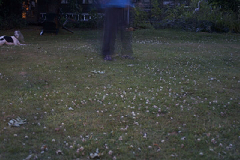 Garden at night