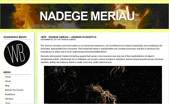 Screen grab of Wandering Bears blog