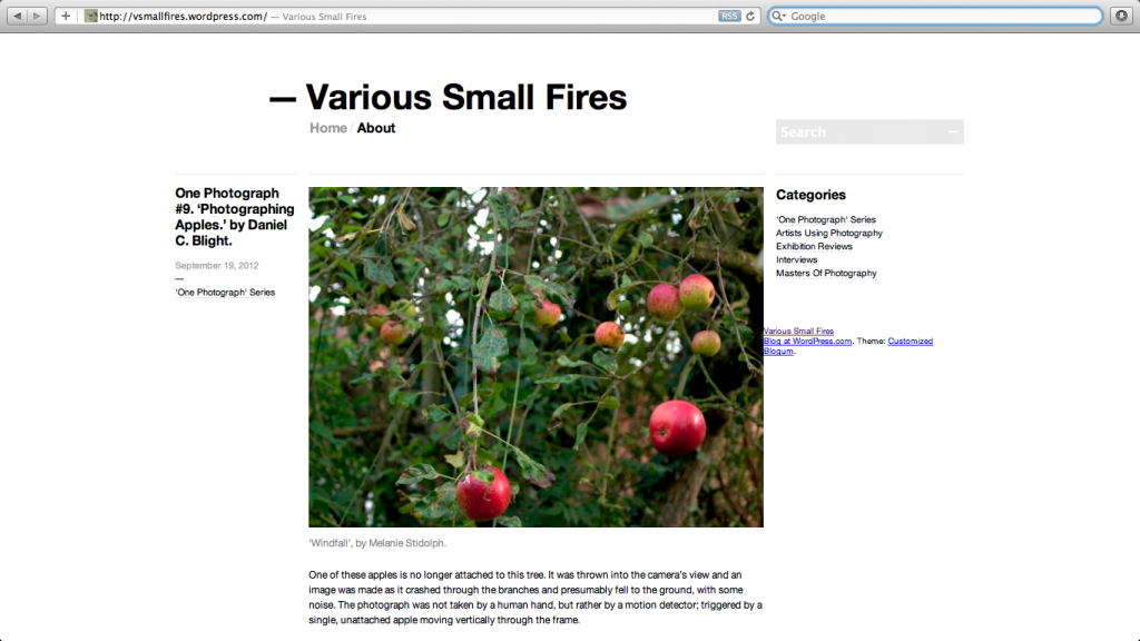 Screen shot of the website 'Various Small Fires'