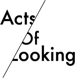 Acts of Looking logo