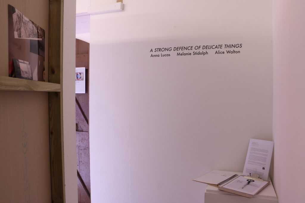 Entrance to exhibition, title of exhibition in vinyl on the wall