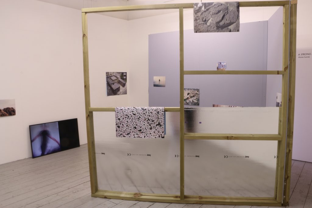 Exhibition installation with a wooden structure with mirrored surface at the bottom that protrudes into the room where there are photographs and a video monitor showing. The back wall is a pale lilac and some of the photographs are a similar colour, showing subjects including blossom on water and rocks on sunlight. Some photographs are on the walls, some are draped on the structure.