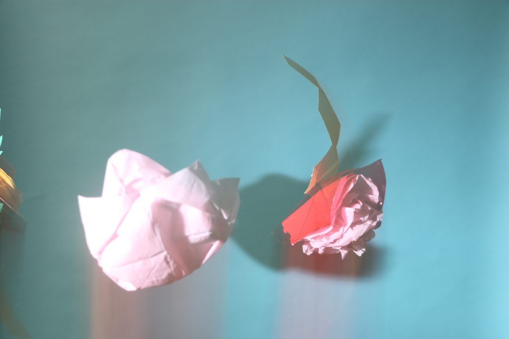 Photograph of paper flowers in the air.