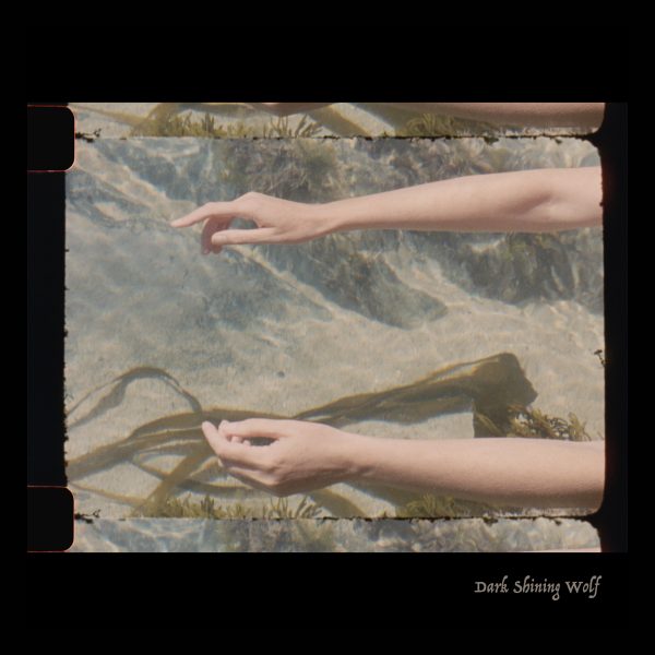 Square photographic image with black border. Two arms of a white woman floating in a shallow pool with weed.