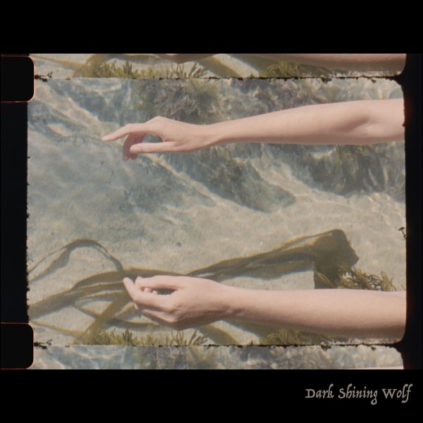 Dark Shining Wolf I - Launch - 1 May