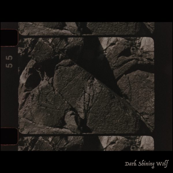 Dark Shining Wolf II - Launch - 1 May