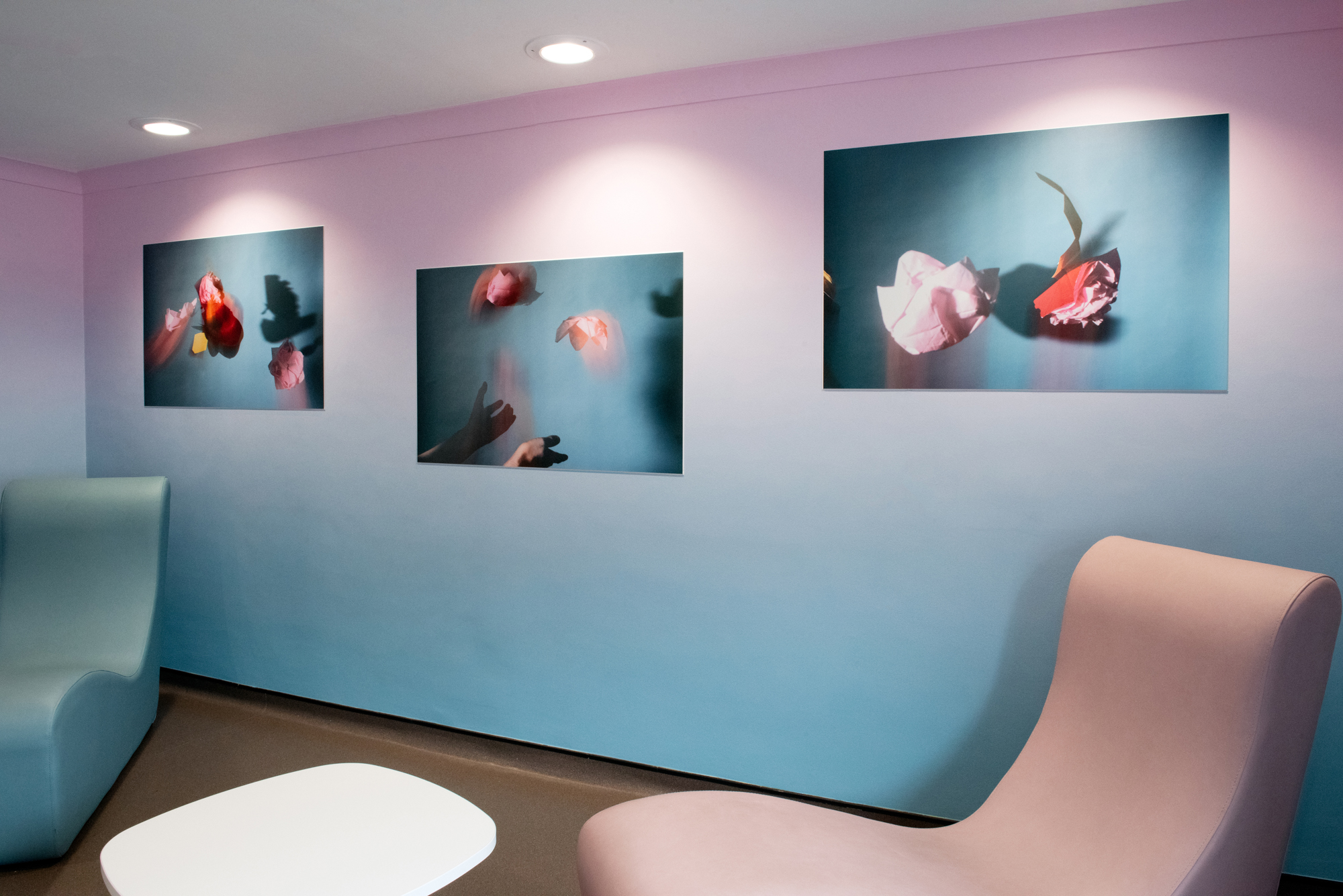 Photograph of a room with pink and blue walls, pink lounger and photographs of paper flowers falling in the air, with hands below.